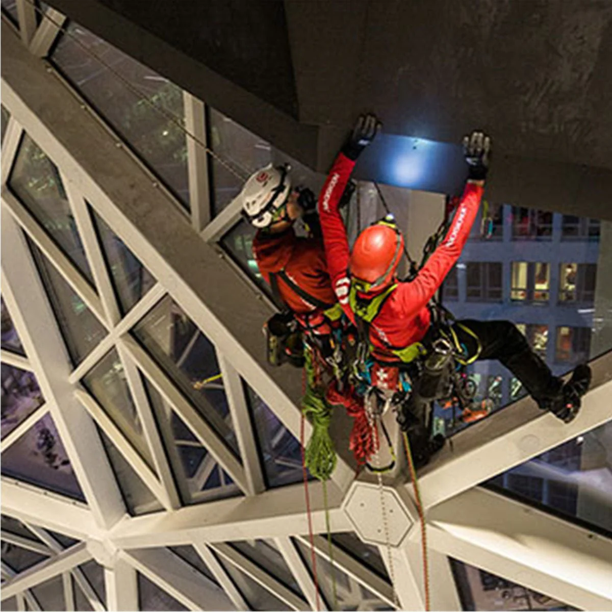 Edelrid Chest Cruiser Climbing Ascender - Image 2