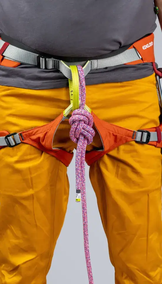 Edelrid Jay IV Climbing Harness - Hokkaido - Image 3
