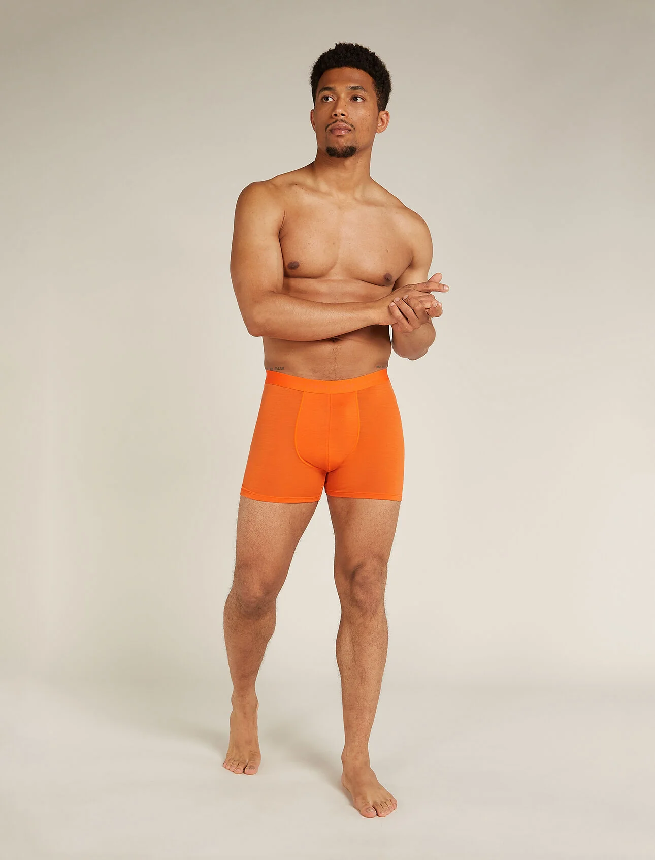 Icebreaker Merino 150 Anatomica Mens Boxers - Image 3