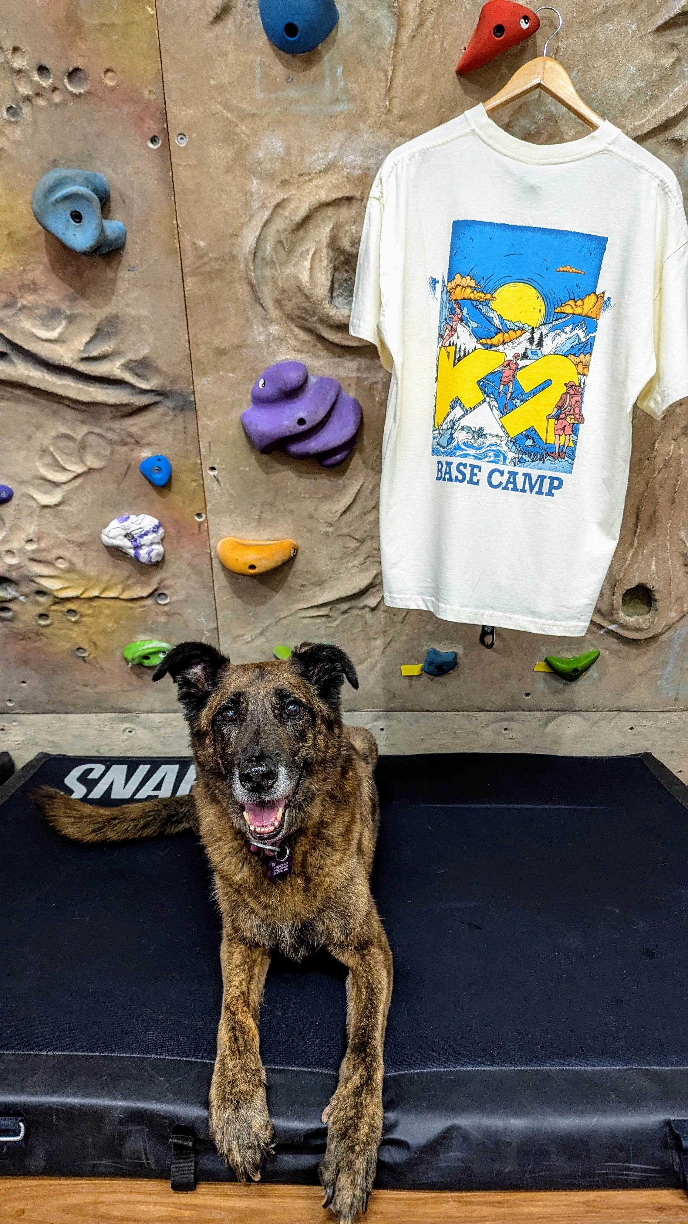K2 BYO Adventure Oversized Tee - Ecru - Image 3