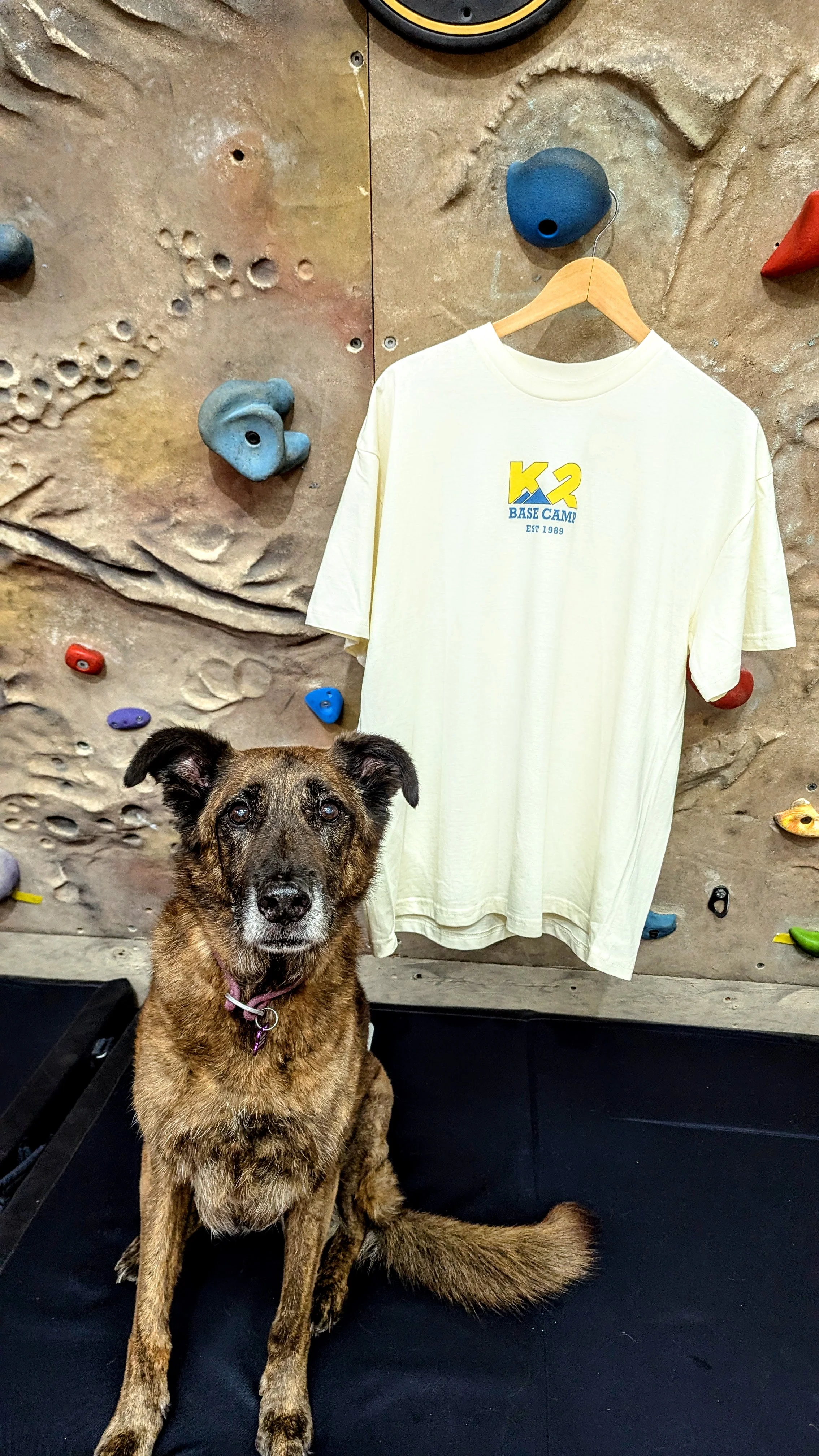 K2 BYO Adventure Oversized Tee - Ecru - Image 4